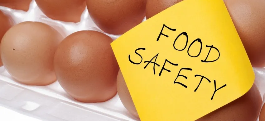 Food and Beverages Chemicals Cleaning and Sanitizing 5 food_safety_eggs