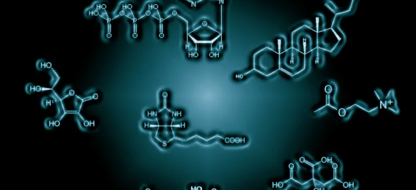 Other Chemicals Other Chemicals 1 metabolomics_850x400